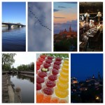 #365project